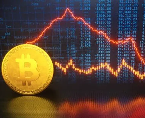 QubiQuant Rapid - Take the first step to revolutionize your trading experience with QubiQuant Rapid.